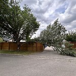 Tree Maintenance - City Owned at 4626 Passchendaele Rd SW