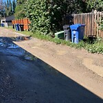 Backlane Maintenance at 208 24 Av NW