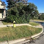 Fire Hydrant Concerns at 704 4 A St NE