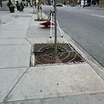 Sidewalk or Curb - Repair at 708 11 Av SW