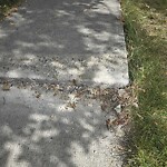 Sidewalk or Curb - Repair at 3 Elgin Estates Hl SE