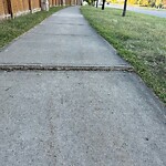 Sidewalk or Curb - Repair at 88 Cranberry Ci SE