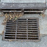 Catch Basin / Storm Drain Concerns at 2755 Cannon Rd NW