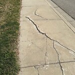 Sidewalk or Curb - Repair at 38 Cranberry Av SE