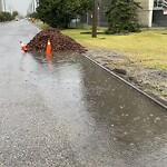 Debris on Street, Sidewalk, Boulevard at 1398 34 Av SE