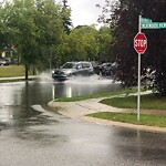 Catch Basin / Storm Drain Concerns at 8573 Wentworth Dr SW