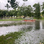 Catch Basin / Storm Drain Concerns at 845 30 Av NW