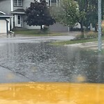 Catch Basin / Storm Drain Concerns at 237 River Rock Pl SE