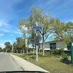 Traffic/Pedestrian Signal Repair at 115 45 St SW