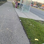 Bus Stop - Garbage Bin Concern at 20 Country Village Rd NE