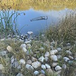 Catch Basin / Storm Drain Concerns at 253 Quarry Park Bv SE