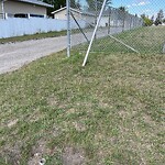 Bus Stop - Shelter Concern at 6360 31 Av NW