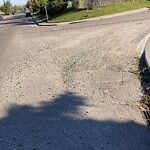 Debris on Street, Sidewalk, Boulevard at 2302 Richmond Rd SW