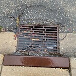 Catch Basin / Storm Drain Concerns at 308 Tuscany Valley Vw NW