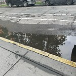 Catch Basin / Storm Drain Concerns at 817 15 Av SW