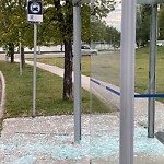 Bus Stop - Shelter Concern at 808 Everridge Dr SW