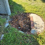 Catch Basin / Storm Drain Concerns at 432 Riverview Pl SE