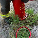 Fire Hydrant Concerns at 2810 Catalina Bv NE