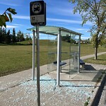 Bus Stop - Shelter Concern at 812 Everridge Dr SW