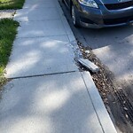 Sidewalk or Curb - Repair at 1308 18 Av NW