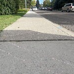 Sidewalk or Curb - Repair at 1930 31 Av SW