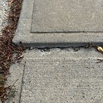 Sidewalk or Curb - Repair at 20 Silverado Saddle Co SW