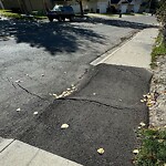 Sidewalk or Curb - Repair at 236 Arbour Lake Wy NW