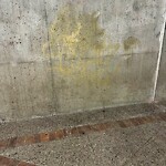 CTrain Stations - Cleanliness or Vandalism at 2121 Memorial Dr SE