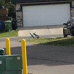 Road Signs on Street, Lane, Sidewalk - Repair or Replace at 42 Saddlelake Pl NE