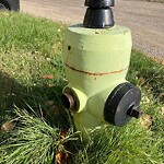 Fire Hydrant Concerns at 344 Queen Charlotte Dr SE