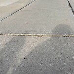 Sidewalk or Curb - Repair at 202 Auburn Springs Bv SE