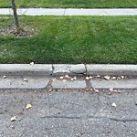 Sidewalk or Curb - Repair at 14815 Parkland Bv SE