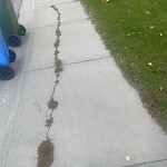 Sidewalk or Curb - Repair at 1184 Strathcona Dr SW