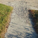 Sidewalk or Curb - Repair at 104 54 Av NW