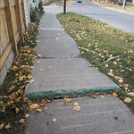 Sidewalk or Curb - Repair at 719 Ranchview Ci NW