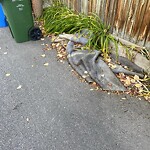 Debris on Backlane at 502 Lansdowne Av SW