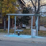 Bus Stop - Shelter Concern at 807 Manning Rd NE