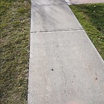 Sidewalk or Curb - Repair at 314 New Brighton Vi SE