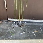 CTrain Stations - Cleanliness or Vandalism at 422 9 A St NW