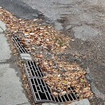 Catch Basin / Storm Drain Concerns at 11 Ranchridge Wy NW