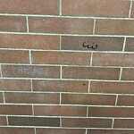 CTrain Stations - Cleanliness or Vandalism at 1887 14 Av NW