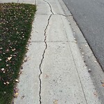 Sidewalk or Curb - Repair at 42 Mahogany Tc SE