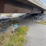 Debris on Street, Sidewalk, Boulevard at 2250 Macleod Tr SE