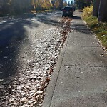 Debris on Street, Sidewalk, Boulevard at 36 Massey Pl SW