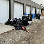 Debris on Backlane at 625 20 St NW