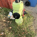 Fire Hydrant Concerns at 219 Pensville Cl SE