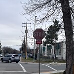 Sign on Street, Lane, Sidewalk - Repair or Replace at 1145 Regal Cr NE