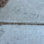 Sidewalk or Curb - Repair at 407 9 St NE