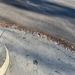 Debris on Street, Sidewalk, Boulevard at 706 17 Av SW