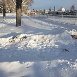 Debris on Street, Sidewalk, Boulevard at 4804 Valiant Dr NW